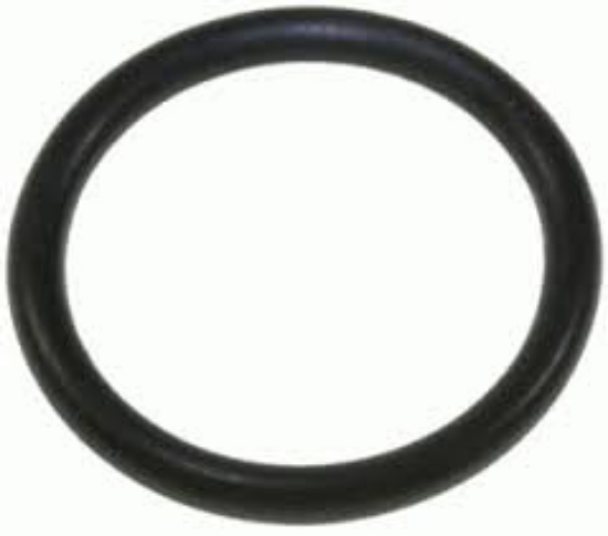 Obrázek Těsnění lisu na ovoce